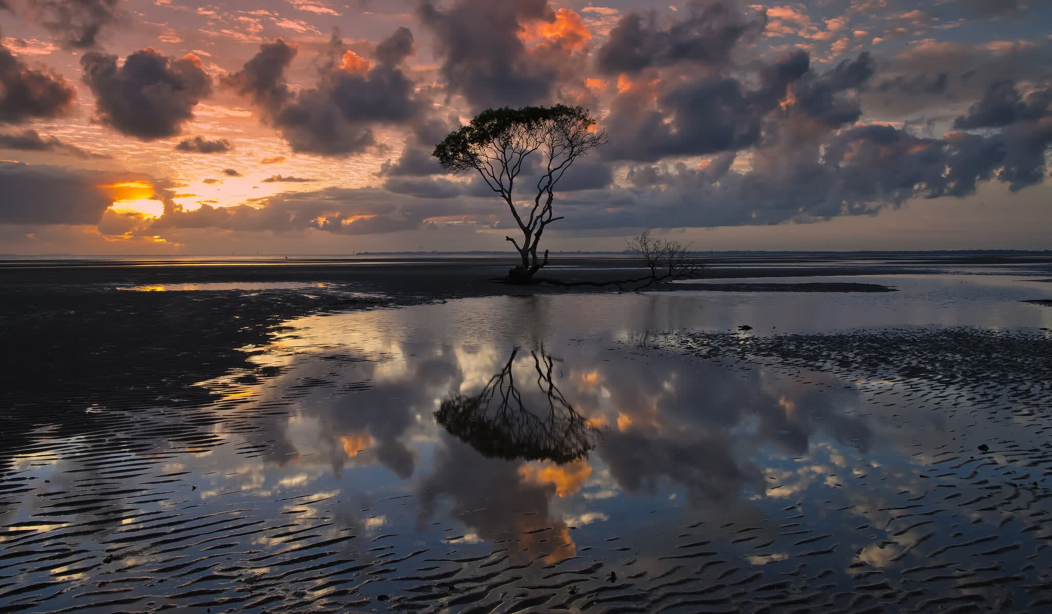 世界游泳青年锦标赛中国队表现亮眼，游泳世界锦标赛冠军